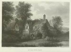 W Starym Hyde Parku autorstwa Patrick Nasmyth