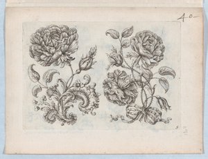 Seria Małych Motywów Kwiatowych, Talerz 5, ca. 1670-85., ok. 1670-85. 1670-85. autorstwa Paul Androuet Du Cerceau