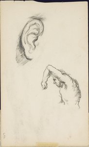 Studia wg Luki Signorelli: ucho i postać mężczyzny, ok. 1877-80 autorstwa Paul Cézanne