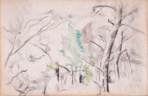 Drzewa [prosto]; Encagnane z Pilon du Roi [wstecz] autorstwa Paul Cézanne