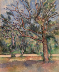 Drzewa i droga (Arbres et route) autorstwa Paul Cézanne