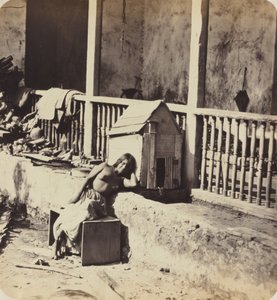 Pies Garvela (Martynika) autorstwa Paul Emile Miot
