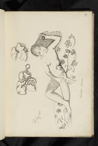 Przed i po - rysunek „Osoba dekoracyjna” autorstwa Paul Gauguin