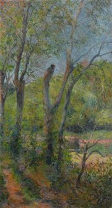 Francuski:  Les Saules Willows autorstwa Paul Gauguin