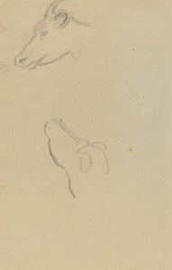 Głowa krowy [odbyt] autorstwa Paul Gauguin