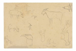 Szkice różnych zwierząt i głowy (recto), szkice głowy, postaci z profilu, szczegółów anatomicznych i zwierząt (verso) autorstwa Paul Gauguin