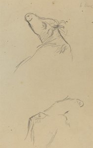 Dwie krowie głowy [verso] autorstwa Paul Gauguin