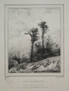 Krajobrazy: Młode Wiąz, 1829. autorstwa Paul Huet