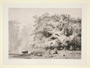 Lasy w pobliżu Fontainebleau autorstwa Paul Huet