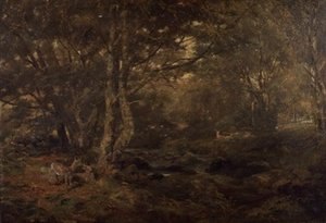 Przez las, Pont-y-Gytyn, Północna Walia
