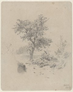 Pejzaż z dębem autorstwa Paul Joseph Constantin Gabriel
