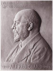 Alfred Giard (1846-1908), zoolog, portret (lito) autorstwa Paul Marie Louis Pierre Richer