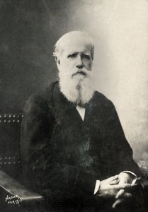  autorstwa Paul Nadar