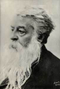 Portret Ernesta Messonniera (zdjęcie) autorstwa Paul Nadar