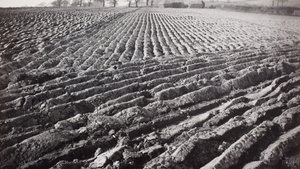 Zaorane pole i stogi siana autorstwa Paul Nash