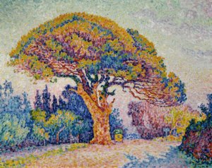Signac, sosna Bertaud autorstwa Paul Signac