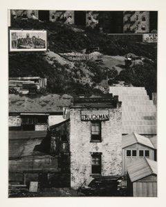 Truckman autorstwa Paul Strand
