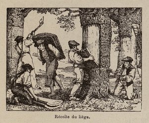  autorstwa Paul de Laubadere
