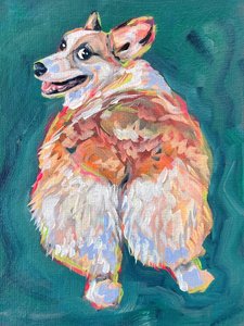 Pełen energii corgi