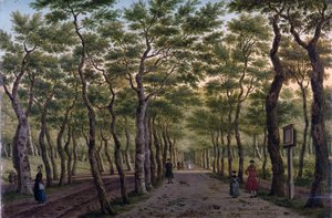 Herepad w Haagse Bos autorstwa Paulus Constantin La Fargue