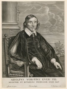 Portret Adolpha Vorsta, profesora w Lejdzie autorstwa Paulus Pontius