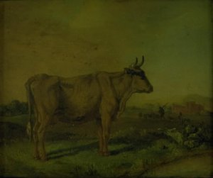 Krowa autorstwa Paulus Potter