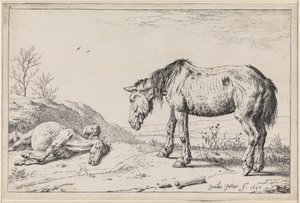  autorstwa Paulus Potter
