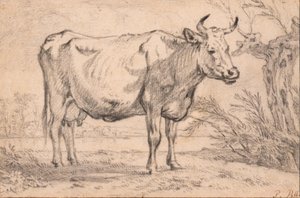  autorstwa Paulus Potter