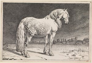  autorstwa Paulus Potter