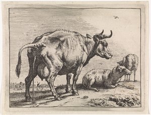 sika krowa Broszura Bullen (tytuł serii) autorstwa Paulus Potter