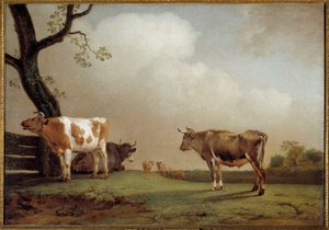 Łąka Stado krów w pre. Obraz Paula Pottera (1625-1654) 1652 Nd. 0,84x1,21m²