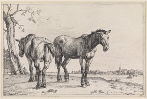  autorstwa Paulus Potter