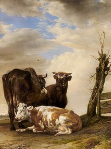 Dwie krowy i młody byk przy płocie na łące, 1647. autorstwa Paulus Potter