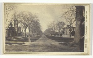 Hillhouse Avenue autorstwa Peck Brothers
