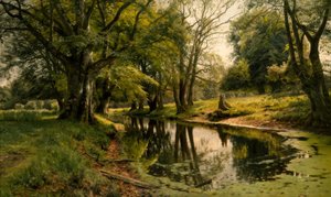 Niegazowana woda w lesie autorstwa Peder Monsted