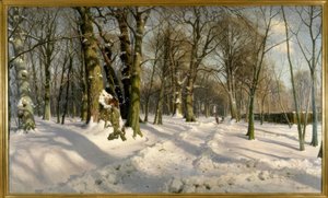 Śnieżny zimowy las w słońcu