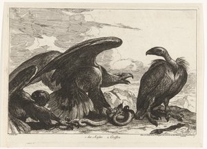 Sęp i orzeł z wężem 1. des Aigles 2. Gryf (tytuł na obiekcie) Ptaki z Menażerii Wersalskiej (tytuł serii)