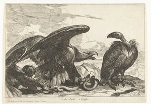 Sęp i orzeł z wężem 1. des Aigles 2. Gryf (tytuł na obiekcie) Ptaki z Menażerii Wersalskiej (tytuł serii)