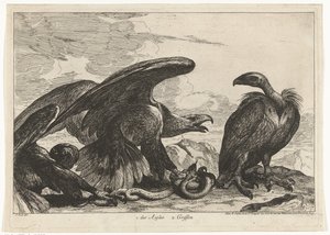Sęp i orzeł z wężem 1. des Aigles 2. Gryf (tytuł na obiekcie) Ptaki z Menażerii Wersalskiej (tytuł serii)