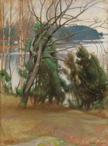  autorstwa Pekka Halonen