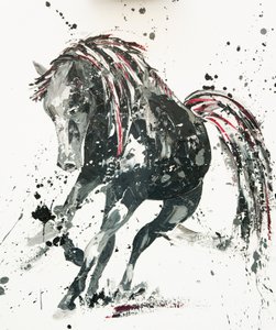 Capriccio, 2014 autorstwa Penny Warden