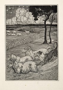 Złodziej owiec psów, z „Stu anegdot zwierząt”, wyd. 1924