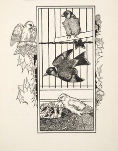 Charytatywny Kanarek, ze Sto anegdot zwierząt, wyd. 1924 autorstwa Percy J. Billingshurst