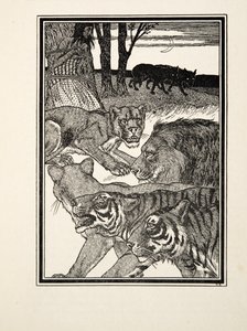Wdzięczna lwica, z „Stu anegdot zwierząt”, wyd. 1924 (grawerowanie) autorstwa Percy J. Billingshurst
