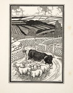 Idąc na targ, od Sto anegdot zwierząt, wyd. 1924 autorstwa Percy J. Billingshurst