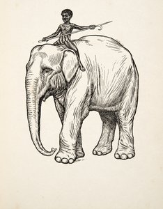 Wyrzuty sumienia, z „Stu anegdot zwierząt”, wyd. 1924 autorstwa Percy J. Billingshurst