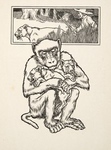 Soliciting Succour, z „Stu anegdot zwierząt”, wyd. 1924 (grawerowanie) autorstwa Percy J. Billingshurst