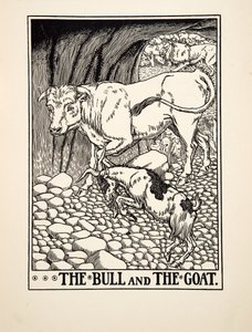 Byk i koza , z Stu bajek Ezopa, wyd. 1903 (rycina) autorstwa Percy J. Billingshurst
