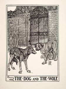 Pies i wilk, z Stu bajek Ezopa, wyd. 1903 (rycina) autorstwa Percy J. Billingshurst