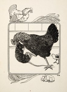 Bohaterstwo kury, ze Sto anegdot zwierząt, wyd. 1924 autorstwa Percy J. Billingshurst